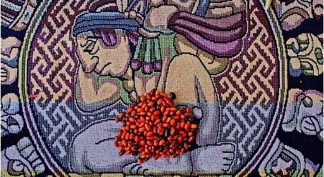  Lectura de Tz’ité