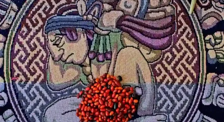 Imagen Sabiduría Ancestral Maya Un Camino de Claridad, Sanación y Autoconocimiento